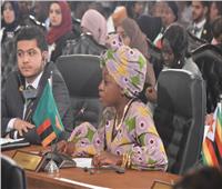 صور| «التكامل الاقتصادي».. شعار الشباب بنموذج محاكاة القمة العربية الأفريقية