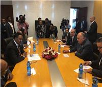 وزير الخارجية يبحث تطورات سد النهضة والعلاقات الثنائية مع نظيره الإثيوبي