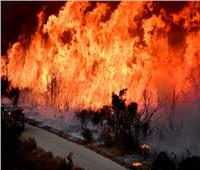 البحث عن 1000 مفقود في أسوأ حريق غابات بولاية كاليفورنيا الأمريكية