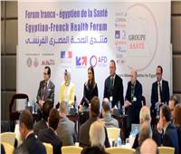 السفير الفرنسي بالقاهرة: مستعدون لدعم مصر في مجال الصحة