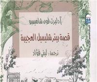 «القومي للترجمة» يحتفل بصدور الطبعة العربية من قصة «بيتر شليمل العجيبة»