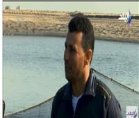 فيديو| مشرف صيادين بركة غليون: 12 جنيهًا تكلفة كيلو السمك في البركة
