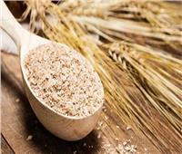 4 فوائد لـ«جنين القمح» أبرزها علاج تشوهات الأجنة  