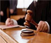 بدء جلسات محاكمة 32 متهمًا بخلية «ميكروباص حلوان»  