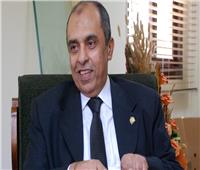 «أبو ستيت»: التنمية الزراعية في مصر على رأس أولويات الرئيس