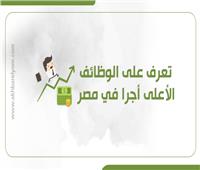 إنفوجراف| تعرف على الوظائف الأعلى أجرًا في مصر