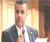 برلماني يطالب بمحاكمة من أهانوا جواز السفر المصرى
