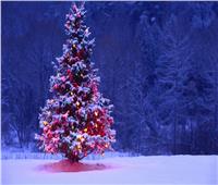 بالصور| أجمل 10 أشجار «كريسماس» من الماركات العالمية 