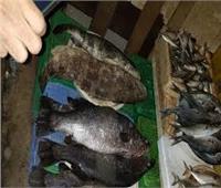 مصادرة 664 طن لحوم وأسماك فاسدة قبل ترويجها خلال نوفمبر