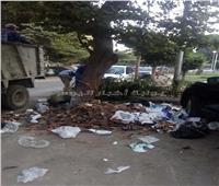 صور|حي المعادي يشن حملة لتنظيف الشوارع 