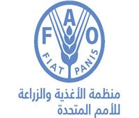 «الفاو» و«الجامعة العربية» تشكلان تحالفا للقضاء على الجوع في المنطقة