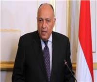 وزير الخارجية: النمسا تتفهم كافة أوضاعنا في مصر