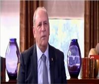 فيديو| وزير الاتصالات اللبناني: مصر هي العمود الفقري للأمة العربية