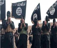 الإفتاء: القاعدة يستغل انحسار داعش لتثبيت أقدامه في إفريقيا