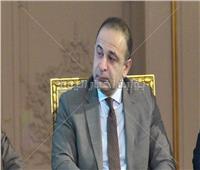 نائب وزيرة التخطيط : الصناعة والابتكار ركائز رؤية مصر 2030