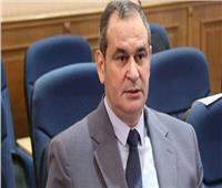 فيديو| اقتصادية البرلمان: نحتاج لإدارة محترفة للإستثمار فى مصر