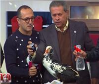 فيديو| توفيق عكاشة يكشف سر علاقته بـ«البط» على الهواء