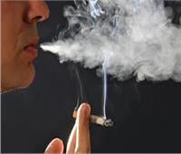 52 % من الذكور «مدخنين» و1% الإناث.. و33% معرضون للتدخين السلبي بالعمل
