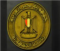 المتحدث الرئاسي: سيكتب التاريخ مثابرة ونجاح المصريين