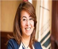 فيديو| وزيرة التضامن: نسخر جهودنا من أجل إسعاد الأسرة المصرية