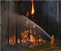 اندلاع حرائق للغابات جنوب شرق أستراليا