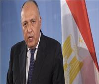 الليلة..وزير الخارجية يكشف النقاب عن التحديات التى تواجه الدبلوماسية المصرية في2019