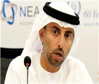 وزير الطاقة الإماراتي: هذا العام مهم لنا لمواصلة العمل لتنويع مصادر الطاقة