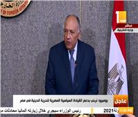 سامح شكري: العلاقات المصرية الأمريكية تحقق أمن واستقرار المنطقة ككل