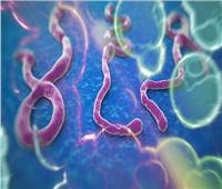 تطوير لقاح جديد لعلاج فيروس «إيبولا» 