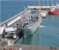 إحباط محاولة تهريب 13 بندقية عبر ميناء سفاجا البحري