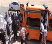  إصابة 7 أشخاص في تصادم بطريق دسوق دمنهور 