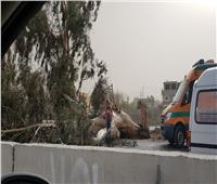 إغلاق طريق «الإسماعيلية- بورسعيد» بسبب تساقط الأشجار
