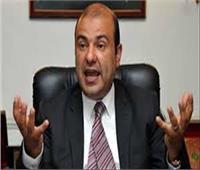 خالد حنفي: استقبال الرئيس اللبناني للوفد المصري توج أعمال المنتدى 
