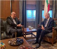 وزير الخارجية يلتقي رئيس مجلس النواب اللبناني في بيروت