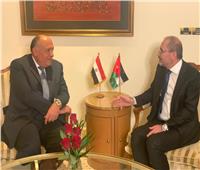 وزير الخارجية يلتقي نظيره الأردني على هامش القمة العربية الاقتصادية