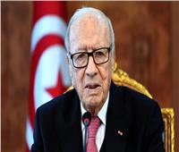 الرئيس التونسي: دولة فلسطينية مستقلة شرط استقرار المنطقة.. والجولان «أرض محتلة»