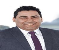 المهندس عادل حامد رئيسًا تنفيذيًا للمصرية للاتصالات