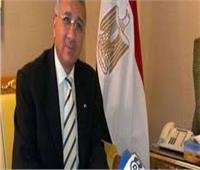 دبلوماسي سابق: مصر تسعى لتحقيق حلم «ناصر» عبر رئاسة الاتحاد الإفريقي