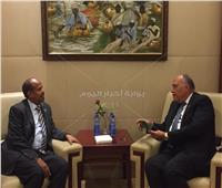 وزير الخارجية يبحث إقامة منطقة حرة لوجيستية مصرية في جيبوتي