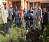 رئيس جامعة المنوفية يغرس شجرة بحديقة «الإدارة العامة»