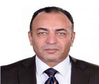 عضو جمعية رجال الأعمال: مصر تمتلك كافة المقومات لإعادة إعمار ليبيا