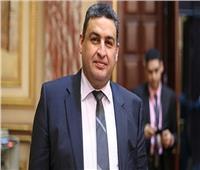 برلماني: مصر البوابة الرئيسة لأفريقيا ورئاسة الاتحاد تعزز التعاون المشترك 