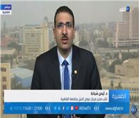 الفيديو| شبانة: مصر تتحرك بخطى ثابتة نحو استعادة  الريادة الأفريقية