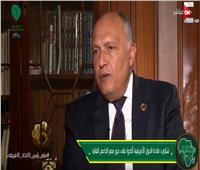 وزير الخارجية: لجنة الاتحاد الأفريقي مهمة لتحقيق الاستقرار في ليبيا