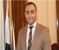 سعد بدير يعلن دعمه للتعديلات الدستورية