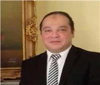 مُحلل سياسي: مصر ستُحقق إنجازات للقارة السمراء  