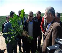 15 صورة تلخص جولة وزير الزراعة بمشروع الـ20 ألف فدان بالمنيا