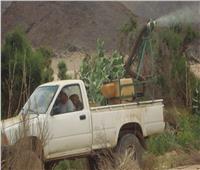 صور| الزراعة تواصل حربها  على «الجراد» الصحراوي 