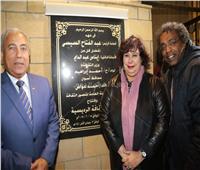 صور| تفاصيل افتتاح أول قصر ثقافة في الرديسية بأسوان