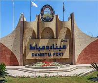 ميناء دمياط يستقبل 12 سفينة حاويات وبضائع خلال 24 ساعة